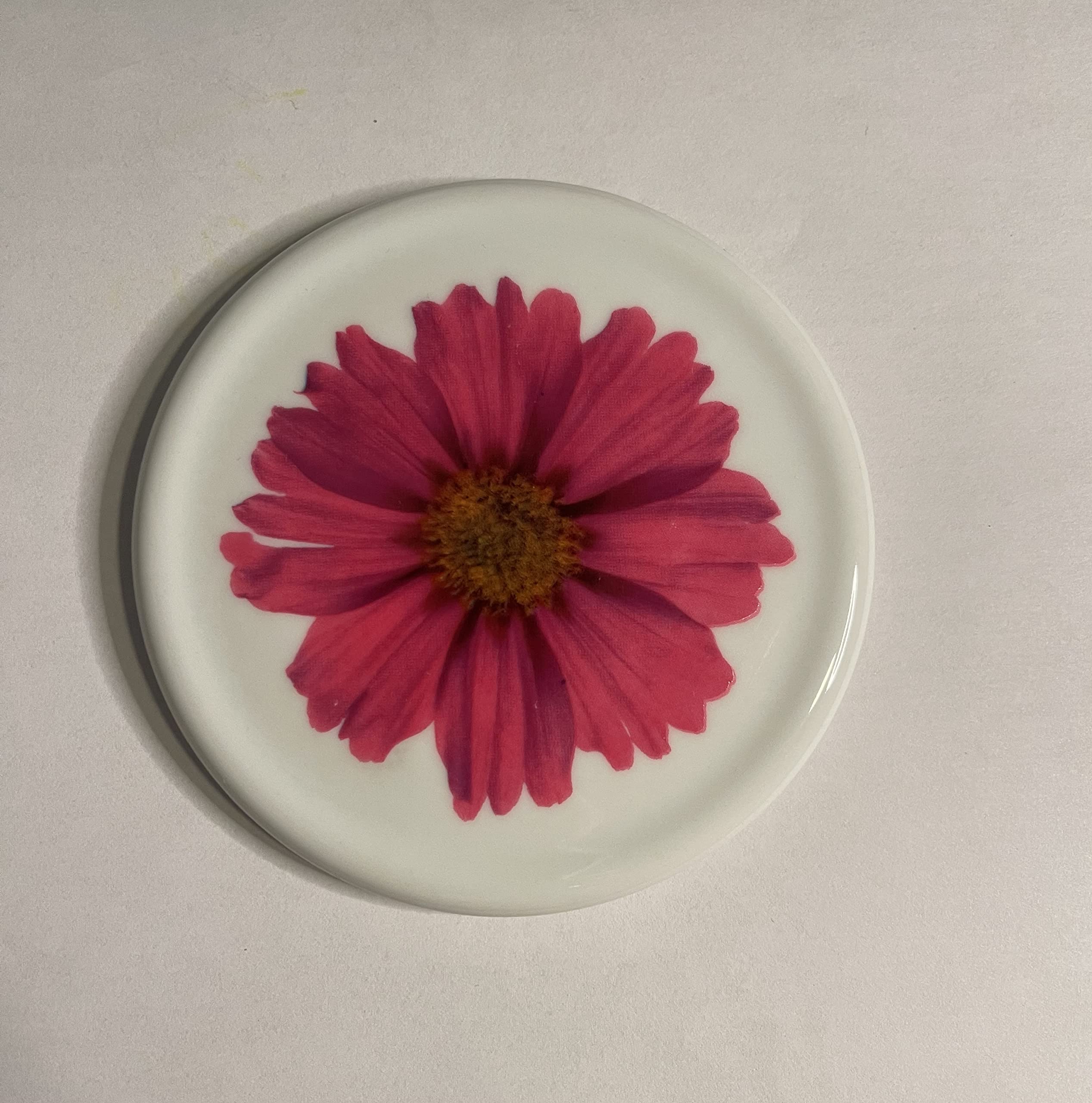 Pink Daisy Delight