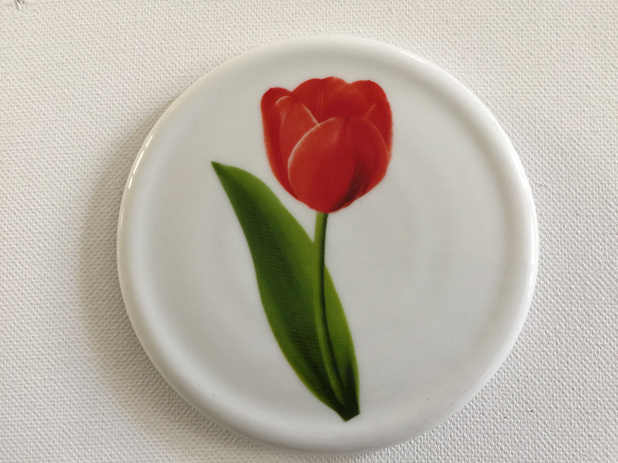 Spring Tulip