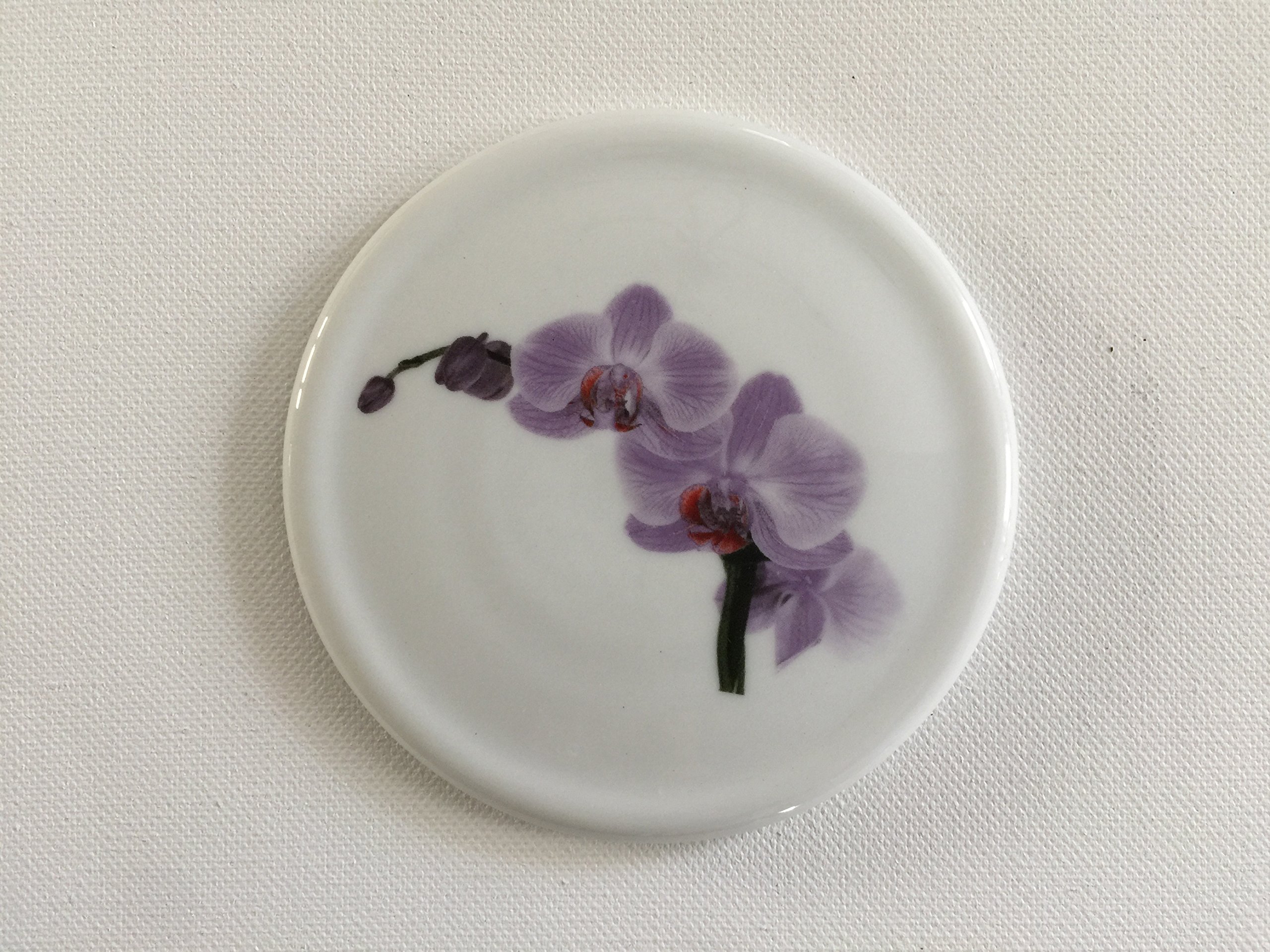 Lavender Orchid